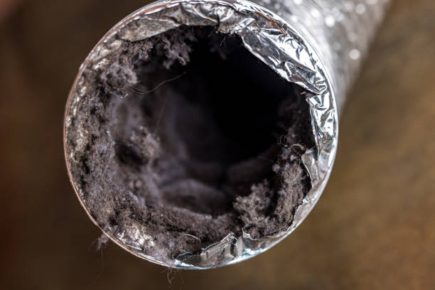 Best Air Duct Cleaning Near Me  in Belcourt, ND