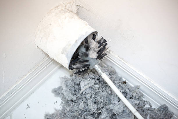 Best Air Vent Cleaning Services  in Belcourt, ND